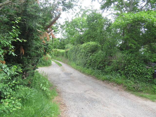 Hill Farm access road