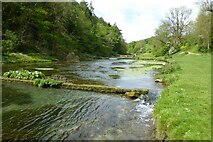 SK2066 : Weirs on the River Lathkill by Philip Halling