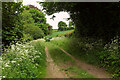 Bridleway, Piddletrenthide