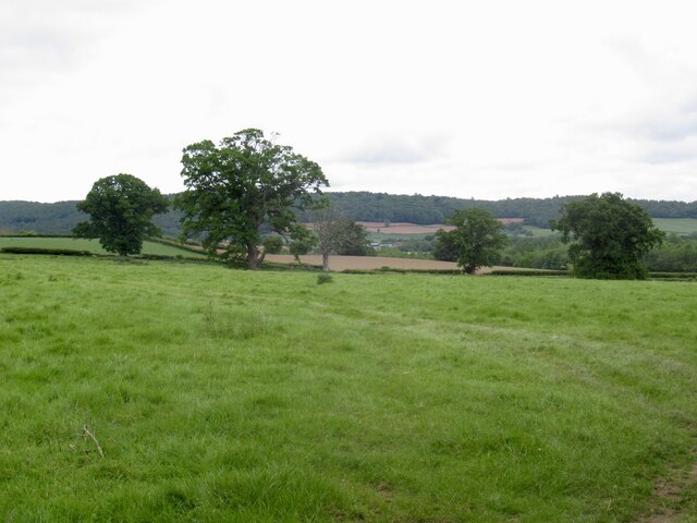 Pasture near Hinton Farm