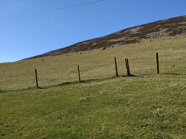 The slopes of Mynydd Carnguwch