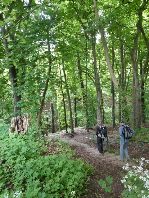 Steps down into Danes Dyke Wood