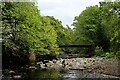 NY8738 : Footbridge across the River Wear by Chris Heaton
