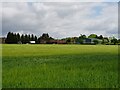 Packington Farm from the fields