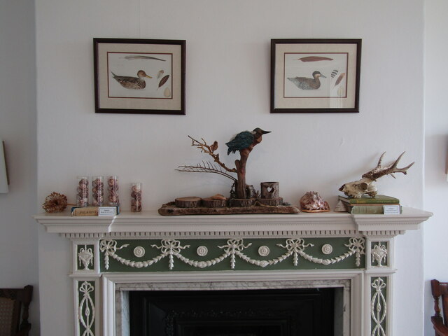 Leith Hill Place - Wedgwood Fireplace