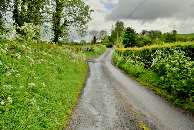 Dryarch Road, Donaghanie
