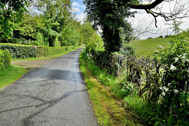 Camowen Road, Donaghanie