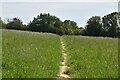 Footpath across field