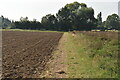 TQ6448 : Field edge footpath by N Chadwick