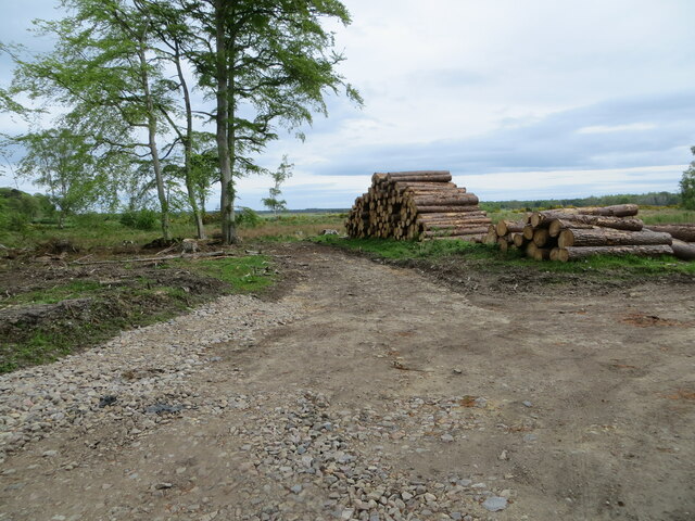 Lumber from Jointure Wood awaiting onward transportation