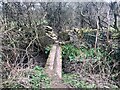SP0601 : Stone Stile at plank over ditch, Harnhill GS9302 by Jayne Tovey