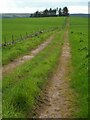 NS5095 : Farm track by Richard Sutcliffe