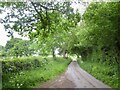 Road passing The Gorse