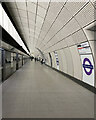 TQ2981 : Tottenham Court Road Station, Elizabeth Line by Stephen Richards