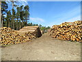 Felled and prepared lumber awaiting onward transportation