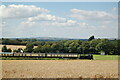 Train passing the cricket field