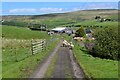 Weardale Way approaching Smailsburn Farm