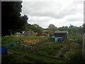 Whitehall Lane Allotments