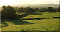 Farmland near Duntish