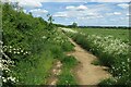 Footpath towards Calves Close Spinney