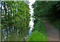 Chesterfield Canal between two roads