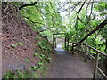 Pathway in Millbuies Country Park