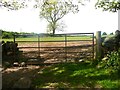 Gateway to a field, Thackley