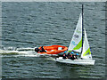 TQ4080 : Dinghy sailing in Royal Victoria Dock by Stephen McKay