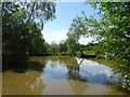 Pond near Ford