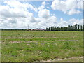 Fallow field with new housing in the background