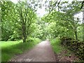 Unsealed lane, Chevin