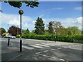 Zebra crossing on Farnley Lane