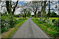 Lakemount Road, Drummallard