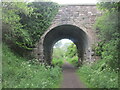 Bridge along the Tees railway walk.