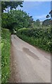 Hedge-lined lane towards Trewyn, Monmouthshire