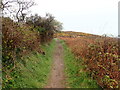 Wales Coast Path heading north from Harbour Village