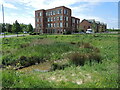 A new pond for the new business park