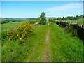 Wren Nest Road, Ripponden