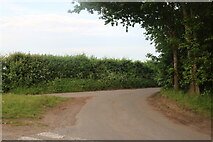 TM0138 : Becketts Lane near Layham by David Howard