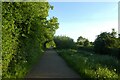 Canal towpath