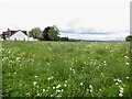 Meadow off Owlcoates Road