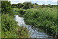 River Hiz west of Arlesey