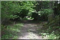 Footpath to Londonderry Farm