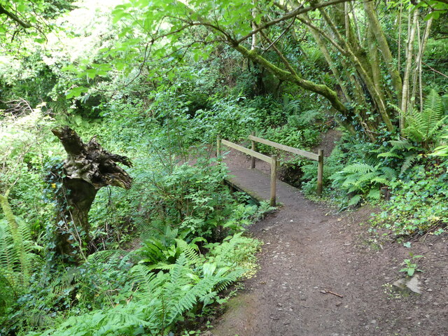 Footbridge over a stream, South West Coast Path, Staddon Heights