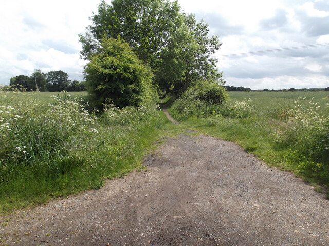 Path off Low Lane