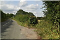 Footpath off Three Elm Lane