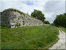 SZ4887 : Castle walls, Carisbrooke by Roger Cornfoot