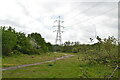 Pylon, Wandle Meadow