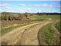 Farm track west of Wendens Ambo (2)