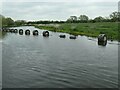 SK1715 : Bobbins protecting boaters from a weir, River Trent by Christine Johnstone
